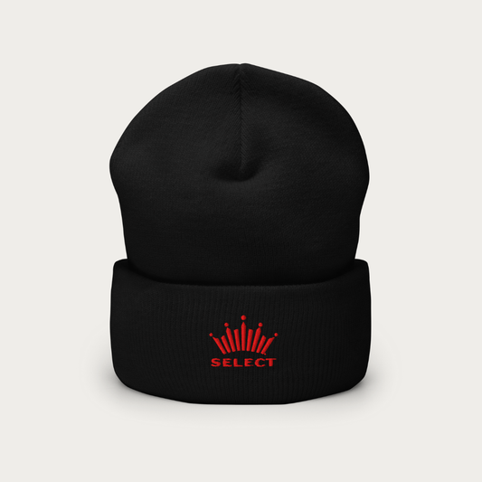 Bud Select Cuffed Beanie